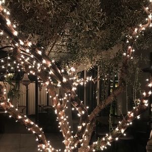 Meet your Posher, Vicky